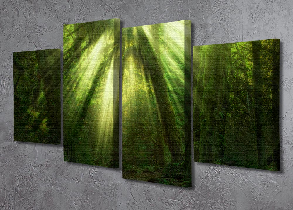 The Miracle 4 Split Panel Canvas