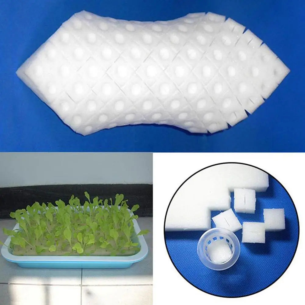 100Pcs/sheet Hydroponic Plant Sponge Garden Cultivation Seedling Soilless Culture Planting Tools Vegetables Nursery Pots Trays