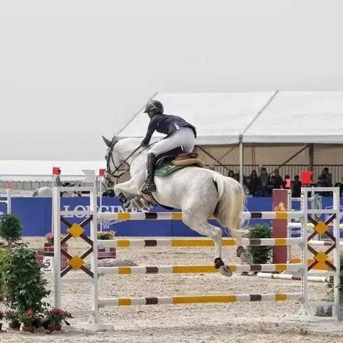 Horse Show Jumps Equestrian Hurdle Equestrian Competition Obstacles Horse Jumping Obstacle