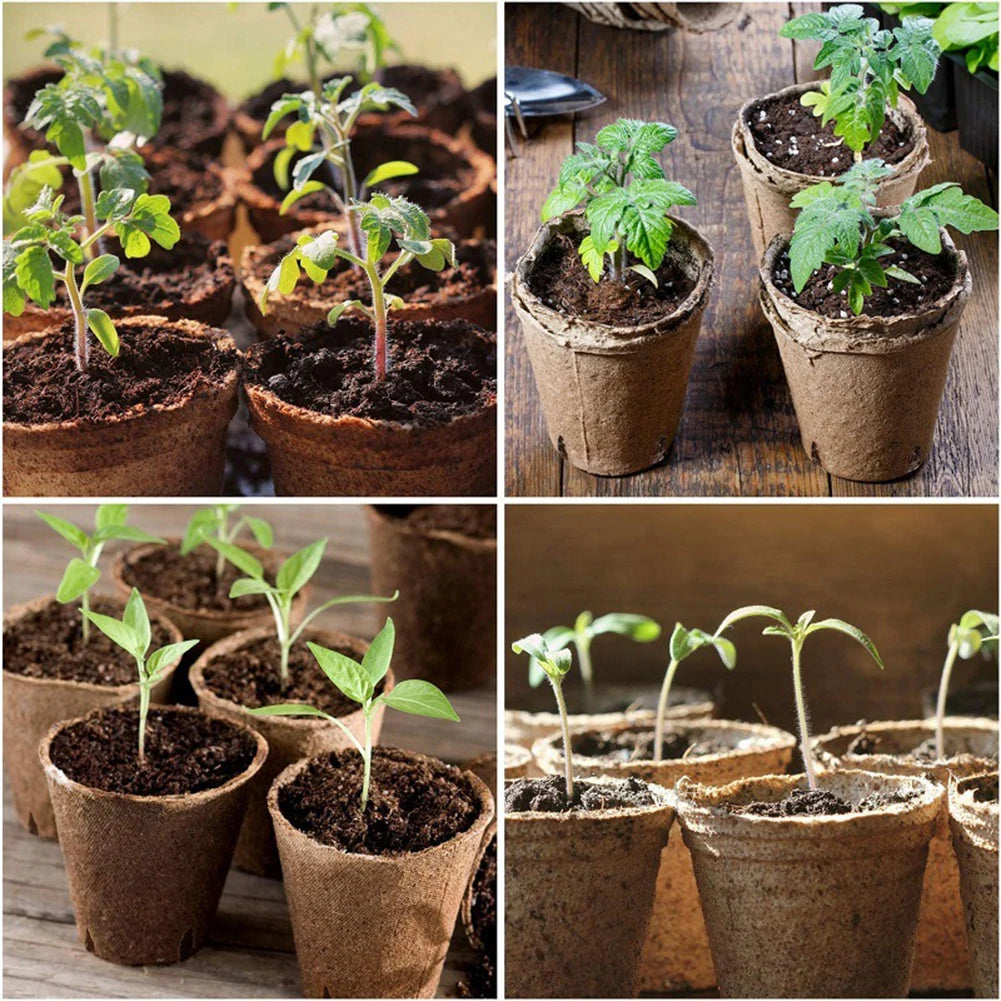 50PCS Degradable Germinate Nursery Pots Paper Pulp Cup For Garden Orchard Plants Flower Herbs Cultivation