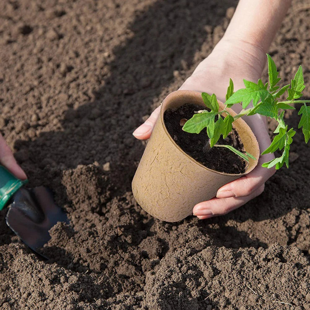 50PCS Degradable Germinate Nursery Pots Paper Pulp Cup For Garden Orchard Plants Flower Herbs Cultivation